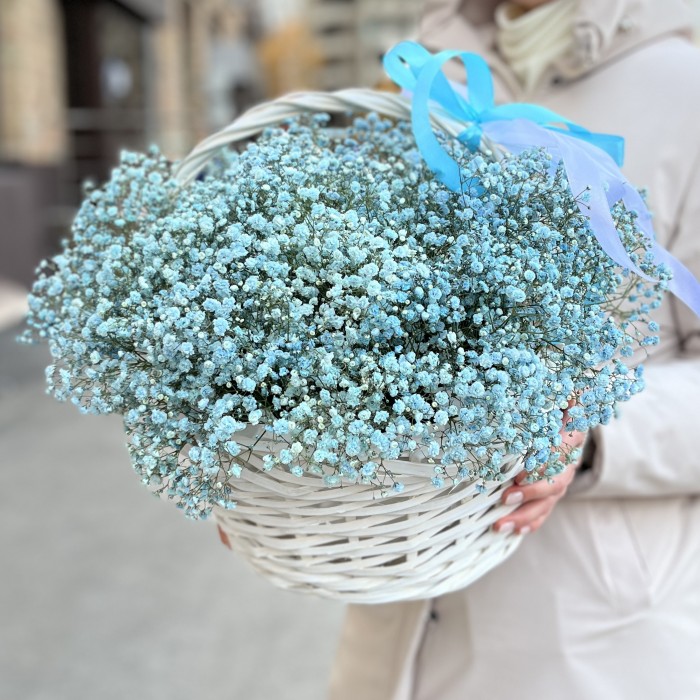 15 голубых гипсофил в корзине